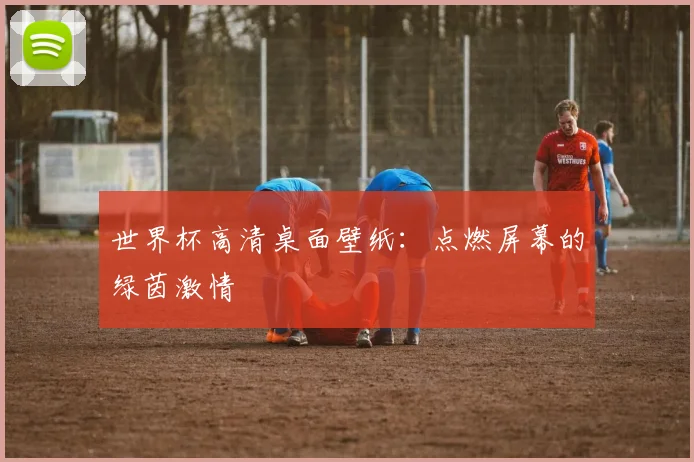 世界杯高清桌面壁纸:点燃屏幕的绿茵激情