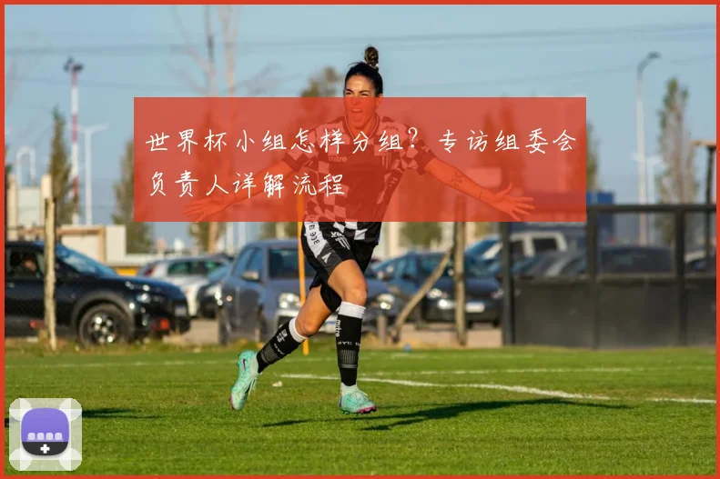 世界杯小组怎样分组？专访组委会负责人详解流程