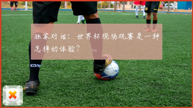 独家对话：世界杯现场观赛是一种怎样的体验？