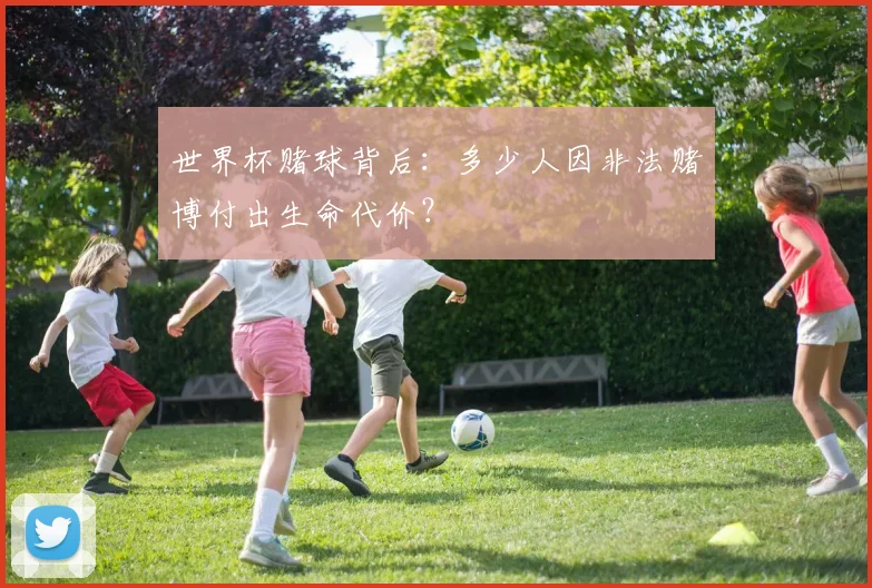 世界杯赌球背后：多少人因非法赌博付出生命代价？