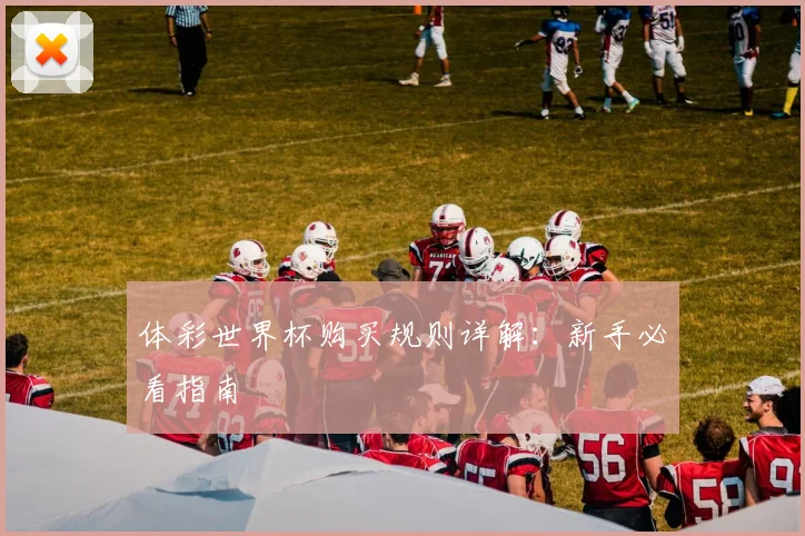 体彩世界杯购买规则详解：新手必看指南