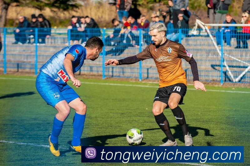 App Interface Preview